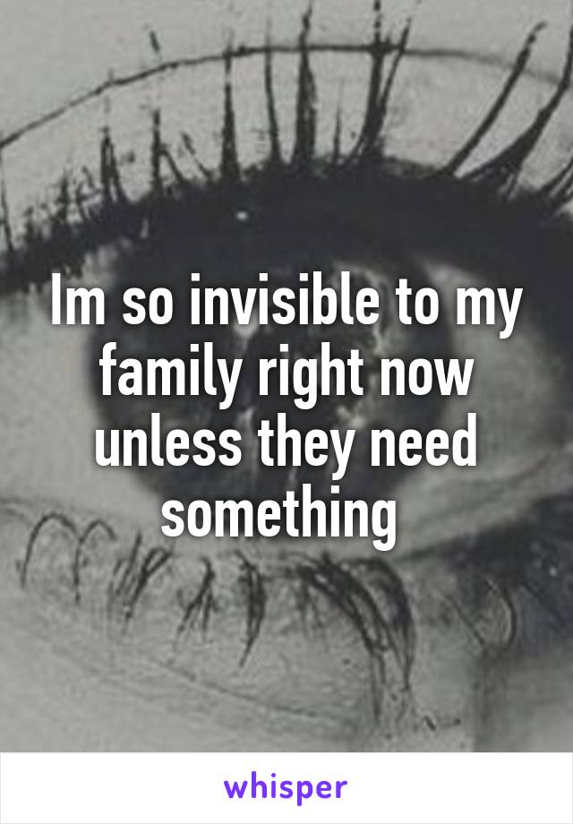 Im so invisible to my family right now unless they need something 