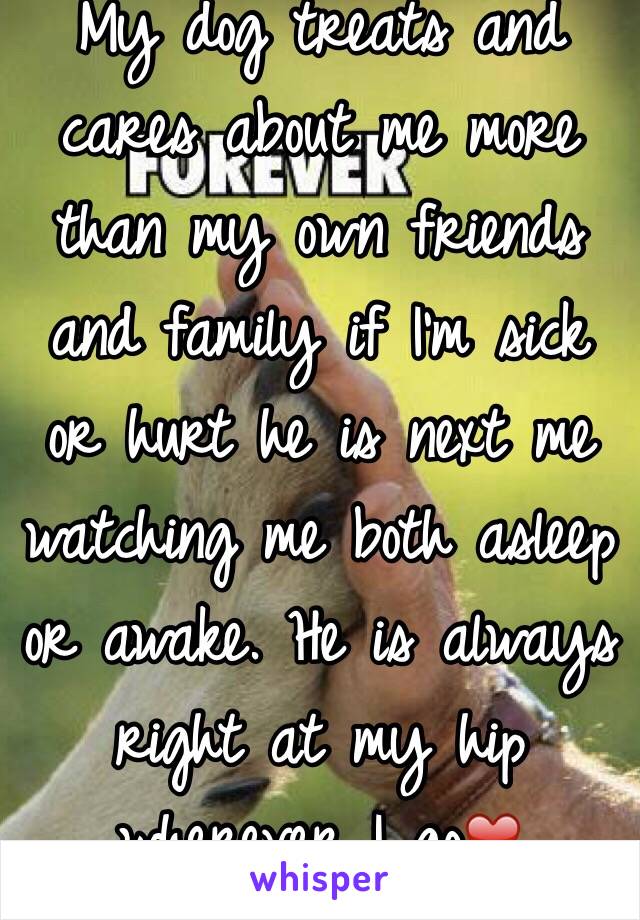 My dog treats and cares about me more than my own friends and family if I'm sick or hurt he is next me watching me both asleep or awake. He is always right at my hip wherever I go❤️