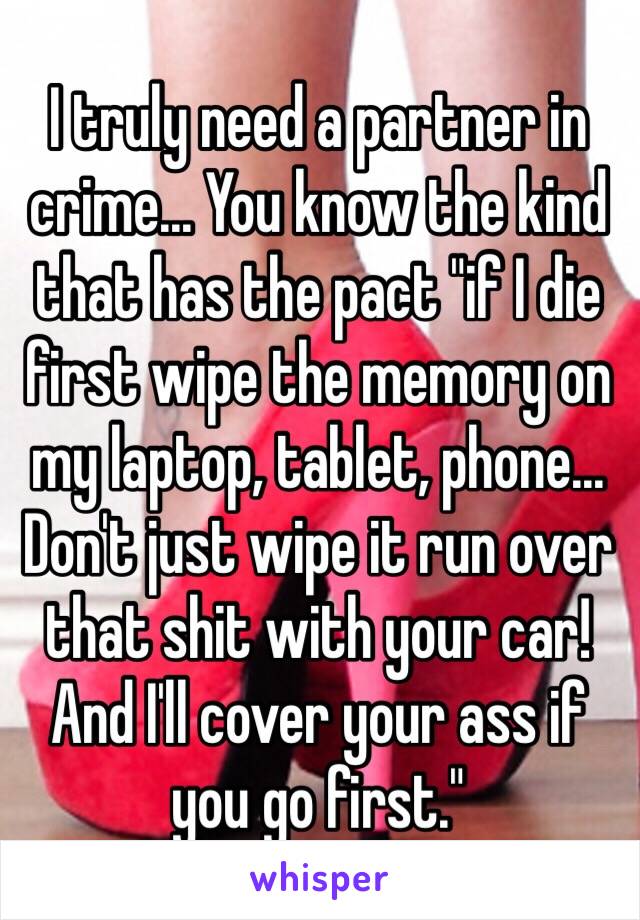 I truly need a partner in crime... You know the kind that has the pact "if I die first wipe the memory on my laptop, tablet, phone... Don't just wipe it run over that shit with your car! And I'll cover your ass if you go first."