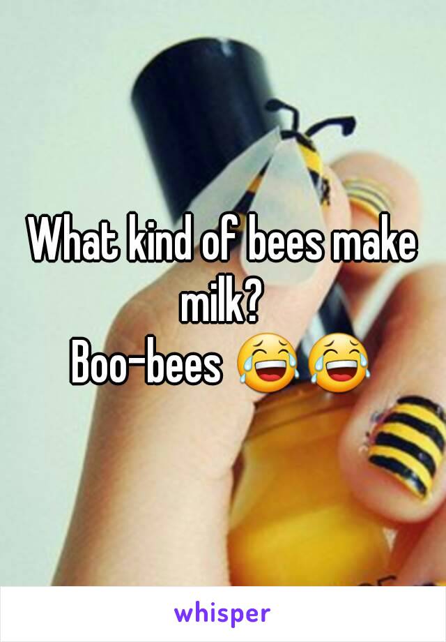 What kind of bees make milk? 
Boo-bees 😂😂