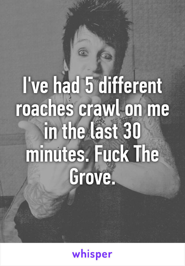 I've had 5 different roaches crawl on me in the last 30 minutes. Fuck The Grove.