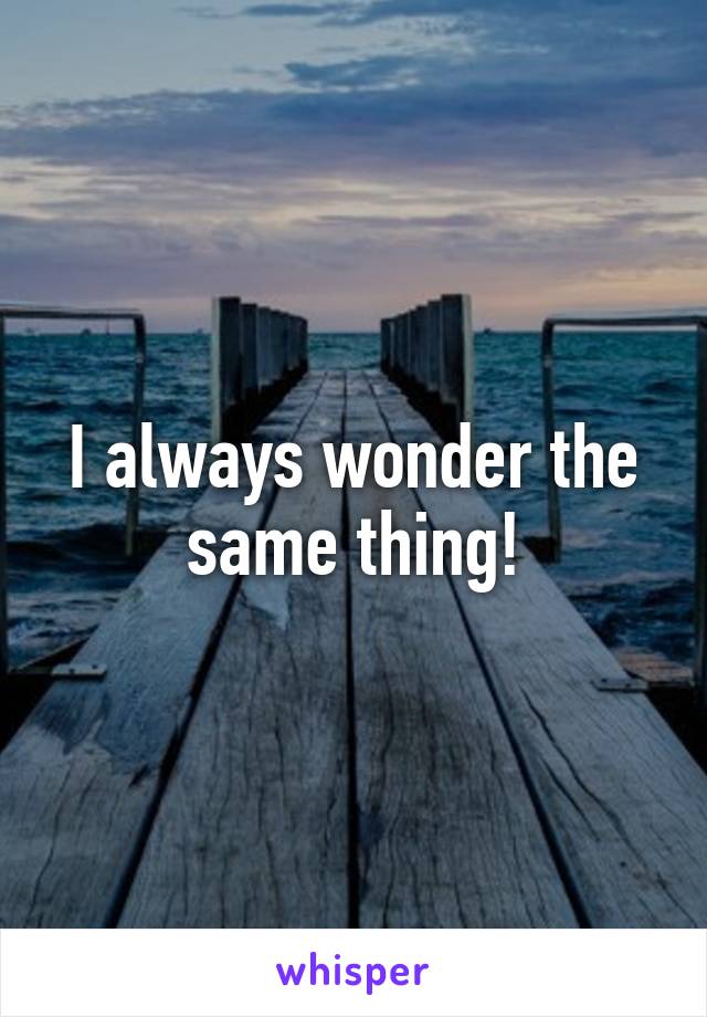 I always wonder the same thing!