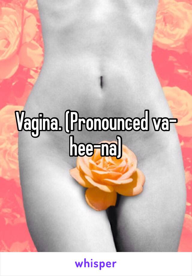 Vagina. (Pronounced va-hee-na) 