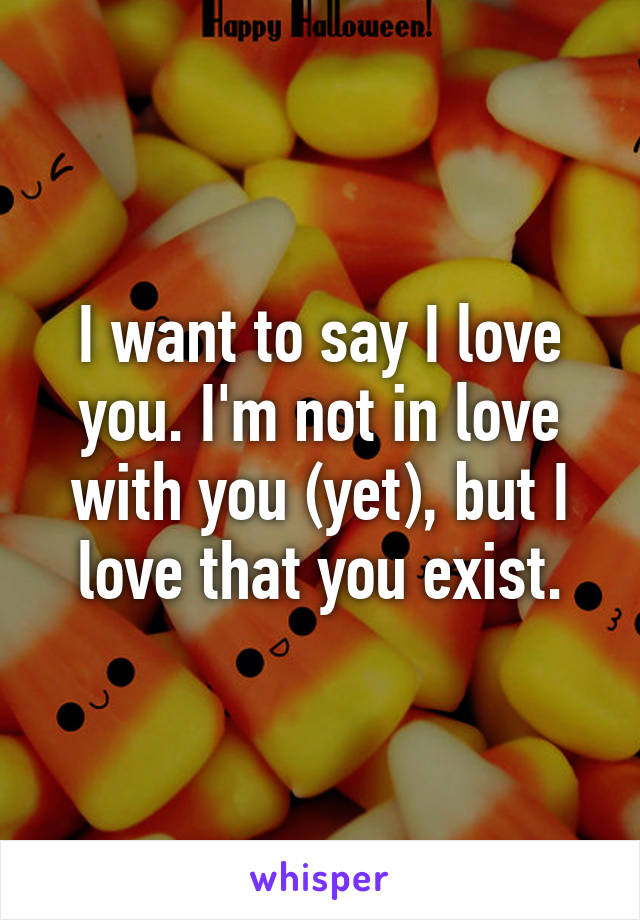 I want to say I love you. I'm not in love with you (yet), but I love that you exist.