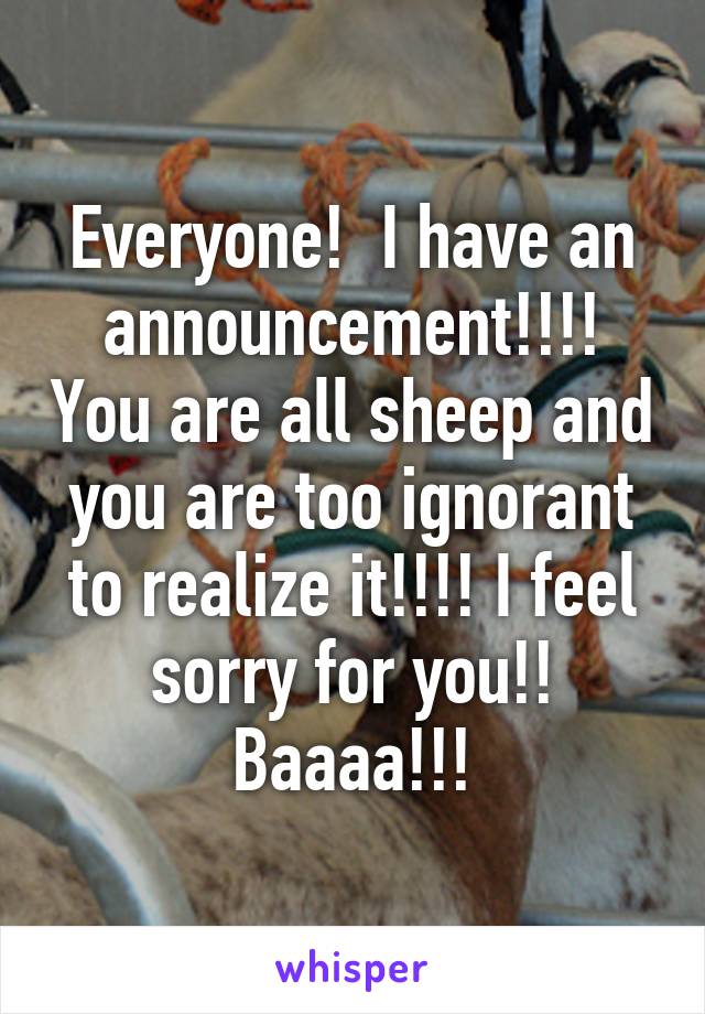 Everyone!  I have an announcement!!!! You are all sheep and you are too ignorant to realize it!!!! I feel sorry for you!! Baaaa!!!