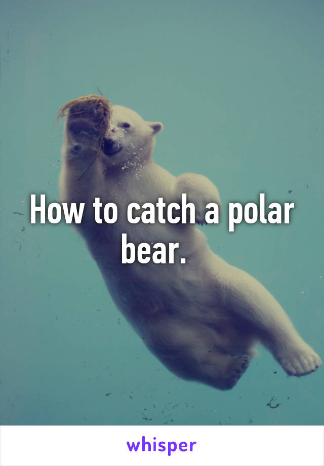 How to catch a polar bear.  