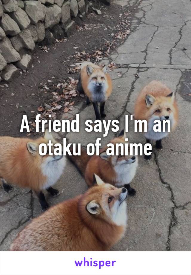 A friend says I'm an otaku of anime