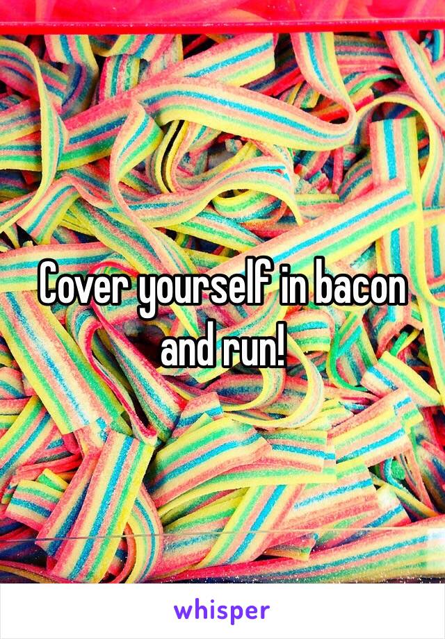 Cover yourself in bacon and run!