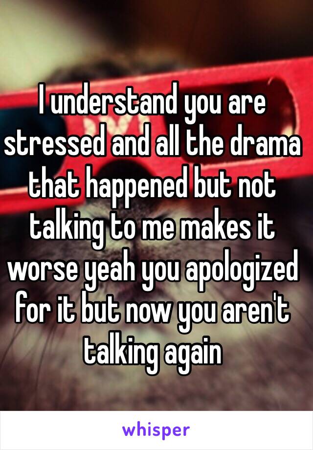 I understand you are stressed and all the drama that happened but not talking to me makes it worse yeah you apologized for it but now you aren't talking again 