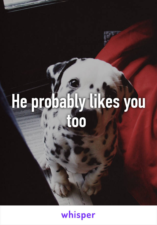 He probably likes you too 