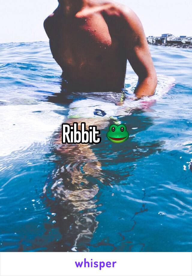 Ribbit 🐸