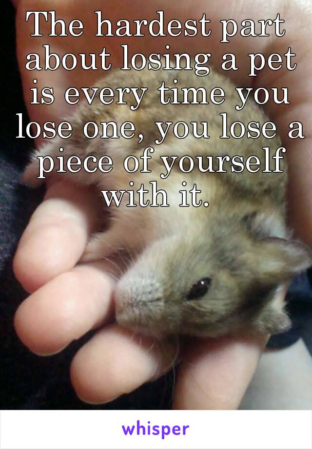 The hardest part about losing a pet is every time you lose one, you lose a piece of yourself with it. 