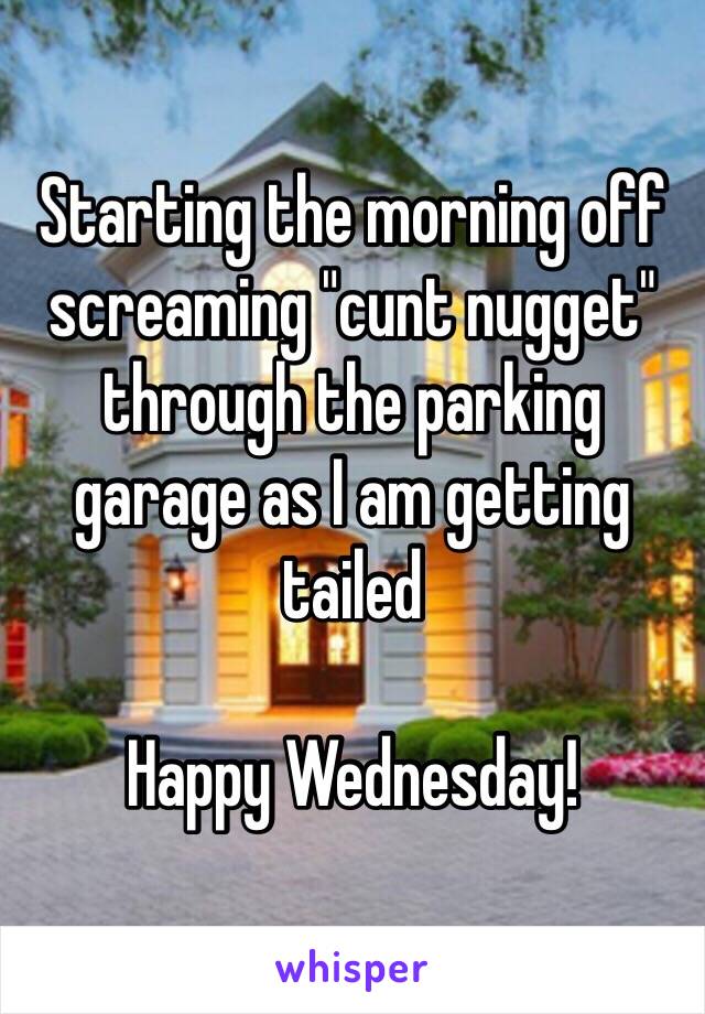 Starting the morning off screaming "cunt nugget" through the parking garage as I am getting tailed

Happy Wednesday!