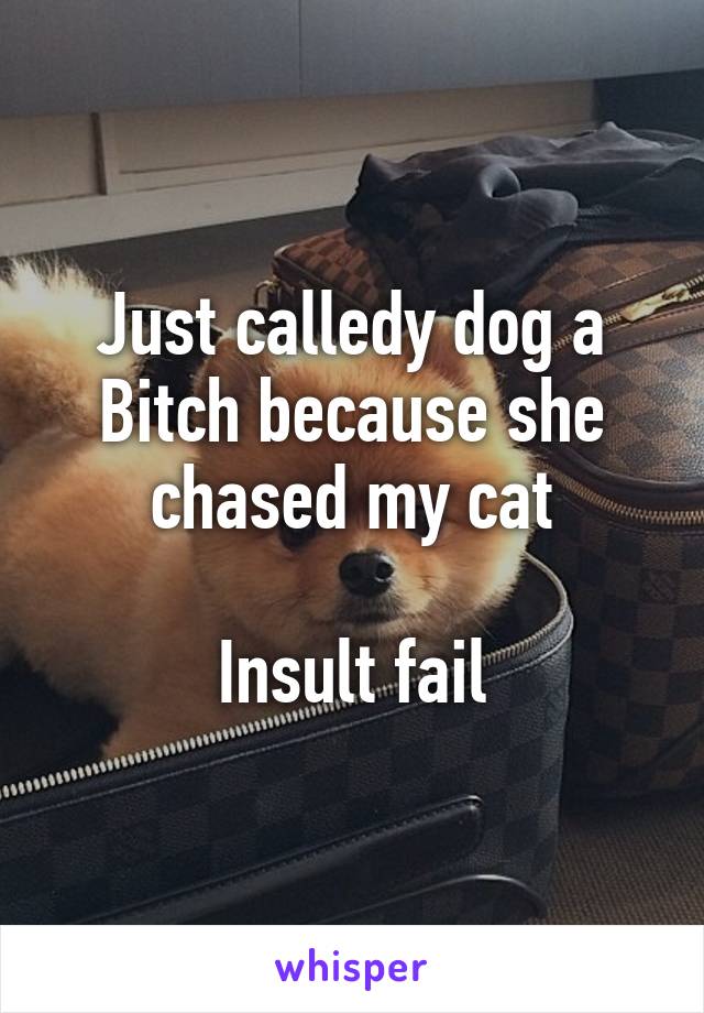 Just calledy dog a Bitch because she chased my cat

Insult fail