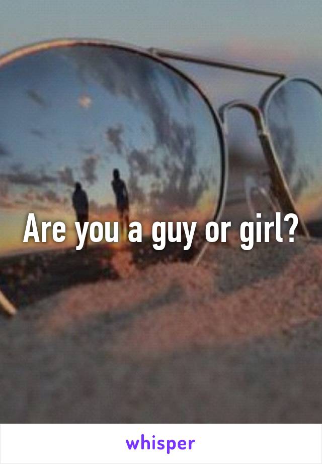 Are you a guy or girl?