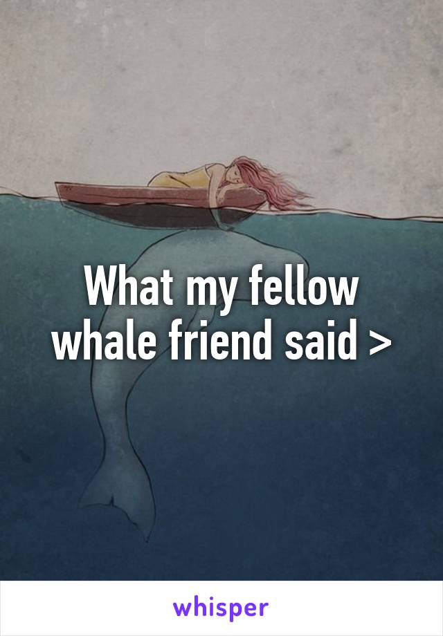 What my fellow whale friend said >