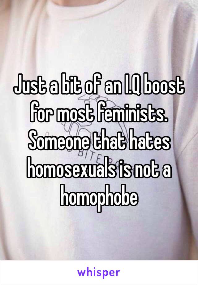 Just a bit of an I.Q boost for most feminists. Someone that hates homosexuals is not a homophobe