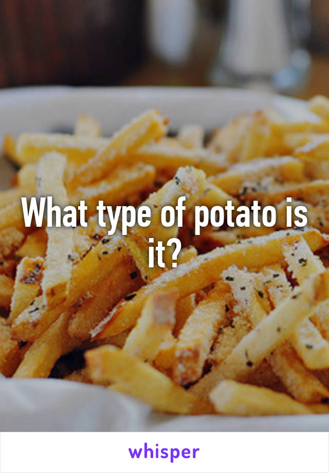 What type of potato is it?