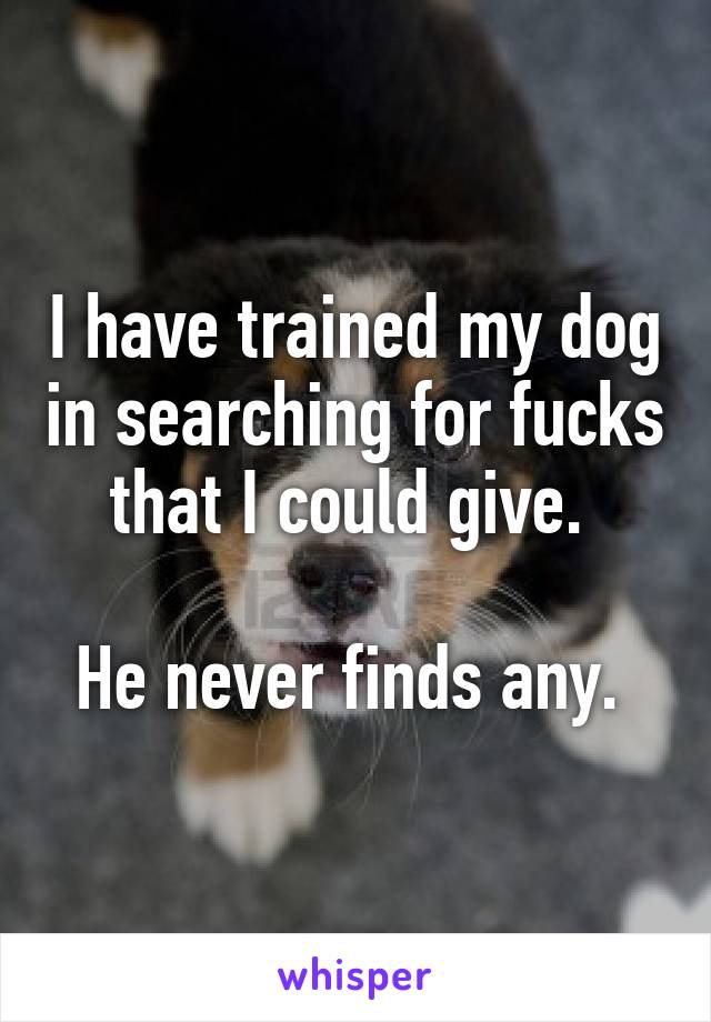 I have trained my dog in searching for fucks that I could give. 

He never finds any. 