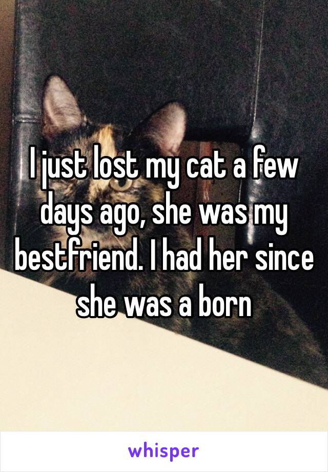 I just lost my cat a few days ago, she was my bestfriend. I had her since she was a born 