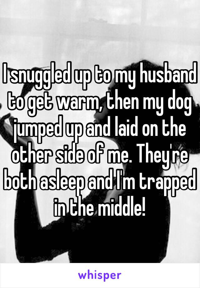 I snuggled up to my husband to get warm, then my dog jumped up and laid on the other side of me. They're both asleep and I'm trapped in the middle!