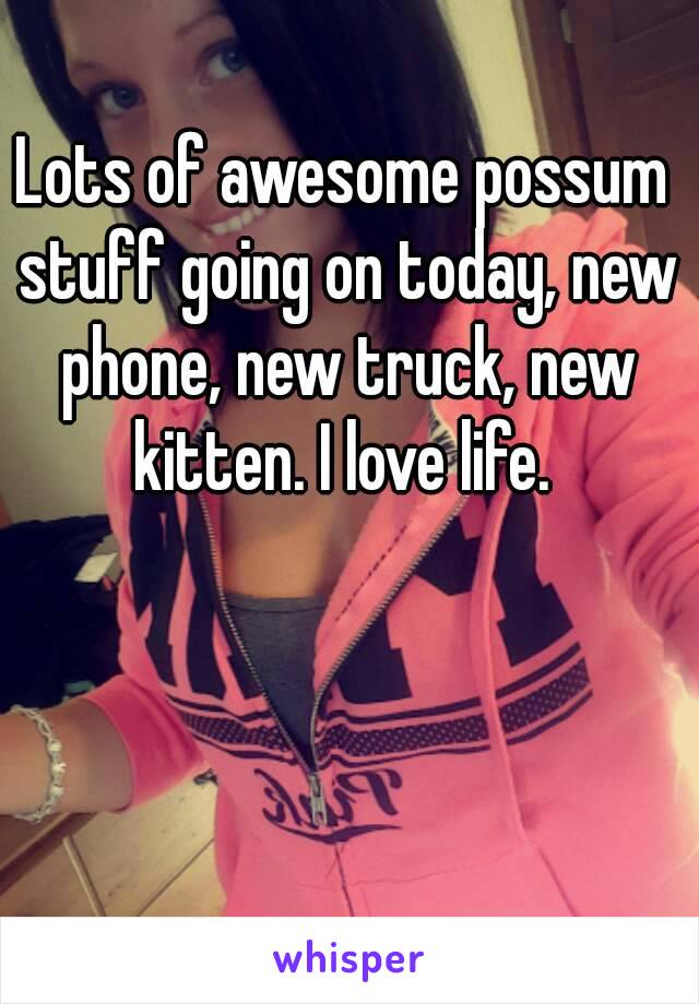 Lots of awesome possum stuff going on today, new phone, new truck, new kitten. I love life. 