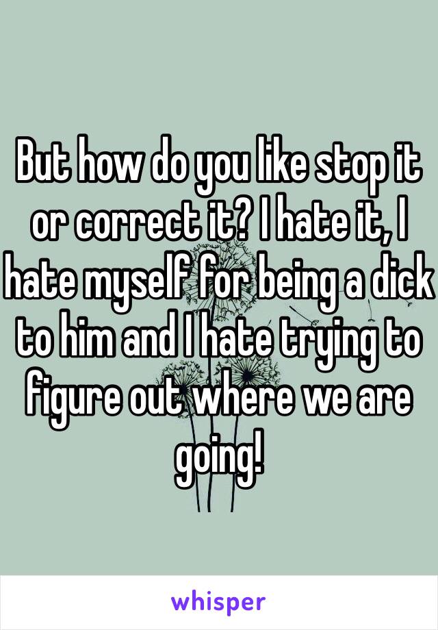 But how do you like stop it or correct it? I hate it, I hate myself for being a dick to him and I hate trying to figure out where we are going!  