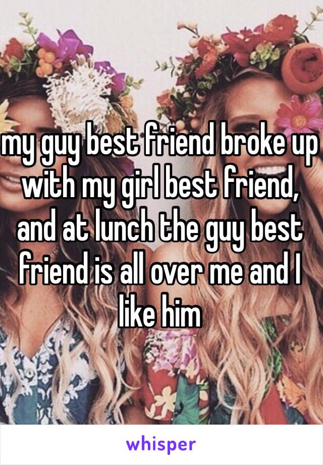 my guy best friend broke up with my girl best friend, and at lunch the guy best friend is all over me and I like him