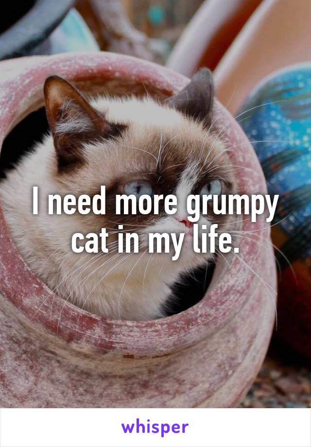 I need more grumpy cat in my life.