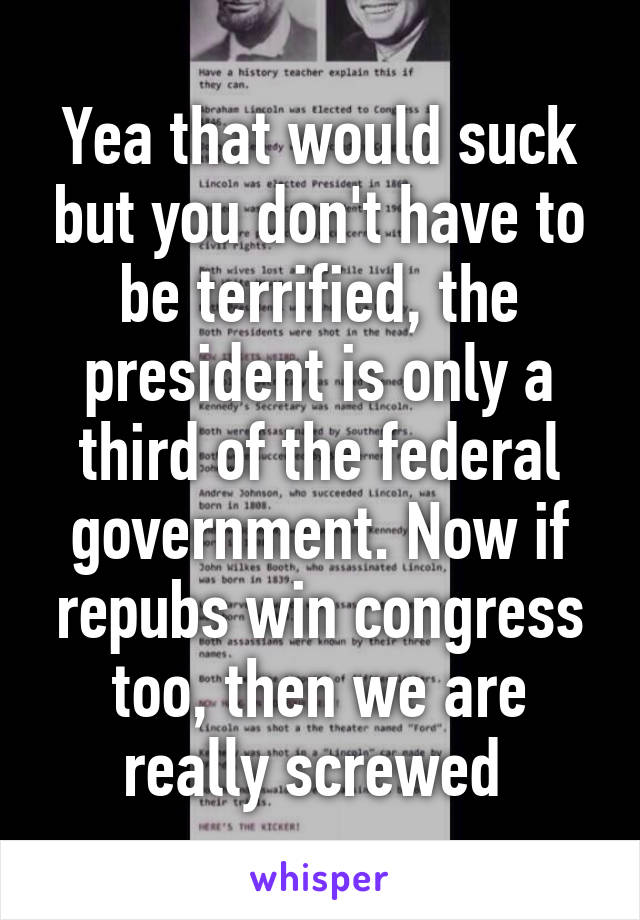 Yea that would suck but you don't have to be terrified, the president is only a third of the federal government. Now if repubs win congress too, then we are really screwed 