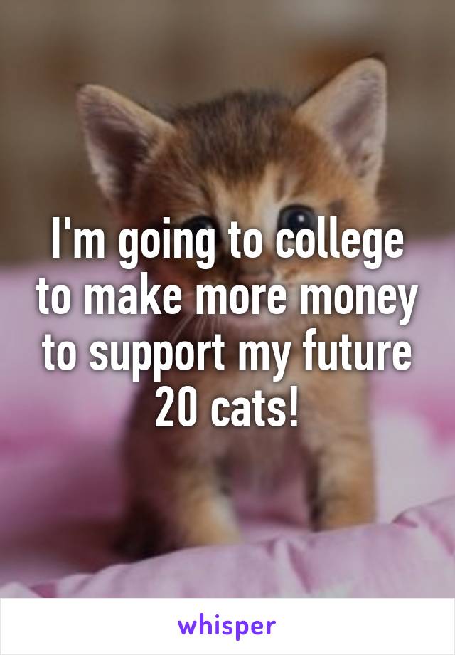 I'm going to college to make more money to support my future 20 cats!