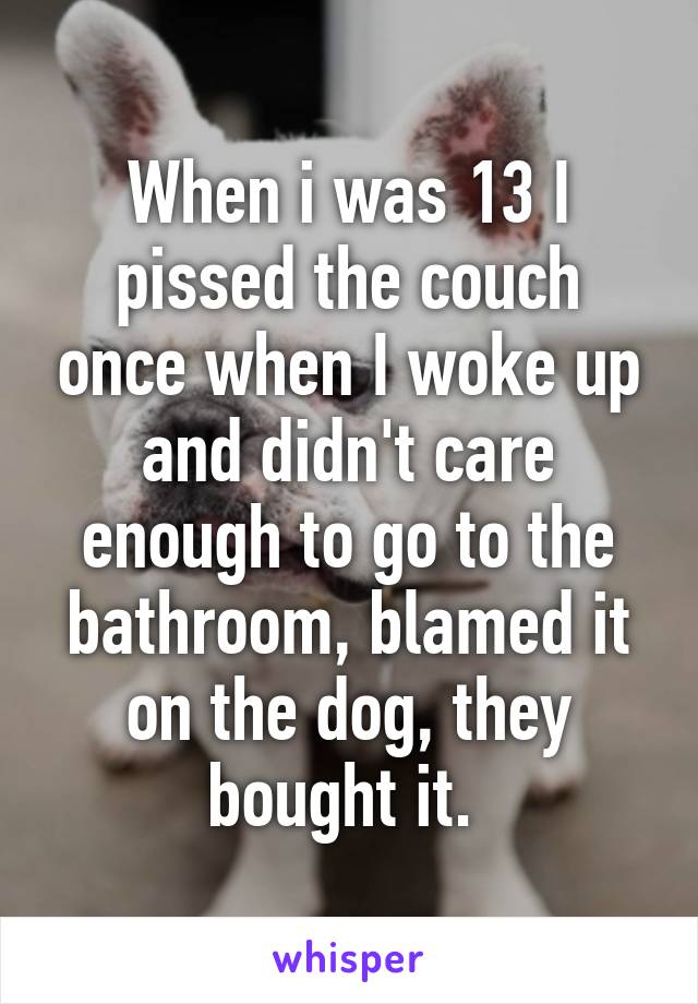 When i was 13 I pissed the couch once when I woke up and didn't care enough to go to the bathroom, blamed it on the dog, they bought it. 