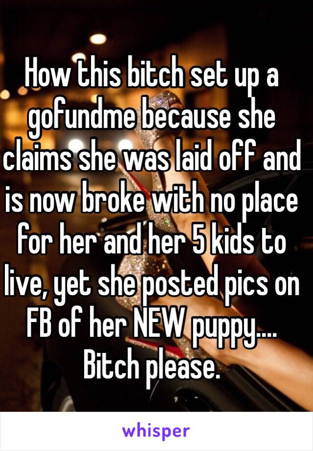 How this bitch set up a gofundme because she claims she was laid off and is now broke with no place for her and her 5 kids to live, yet she posted pics on FB of her NEW puppy.... Bitch please.