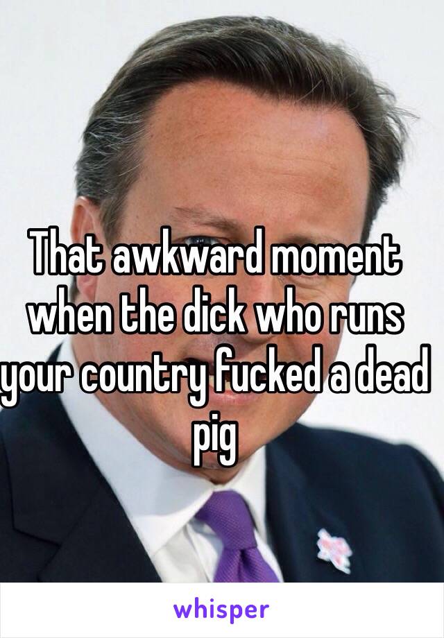 That awkward moment when the dick who runs your country fucked a dead pig 