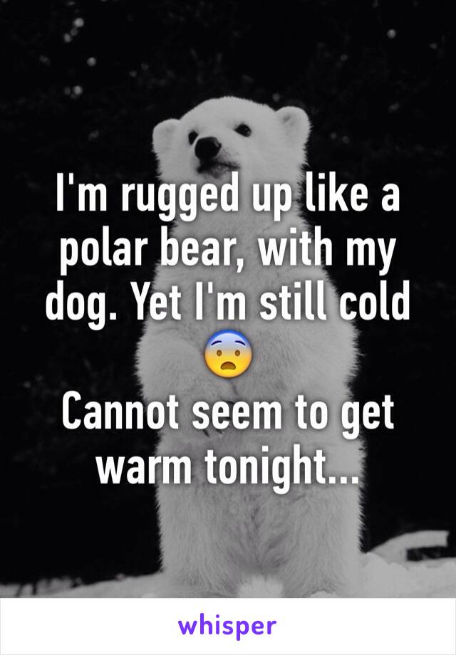 I'm rugged up like a polar bear, with my dog. Yet I'm still cold 😨
Cannot seem to get warm tonight... 