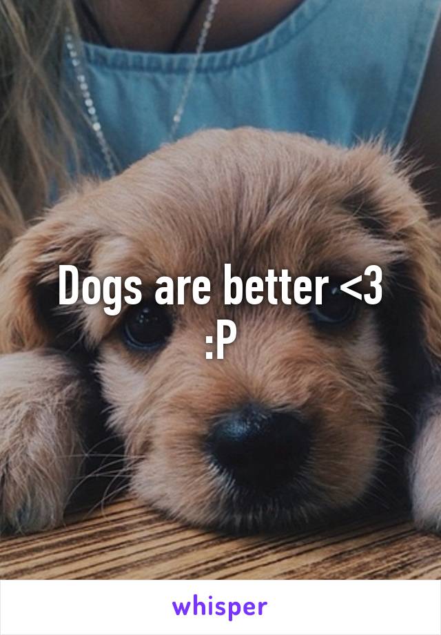 Dogs are better <3
:P