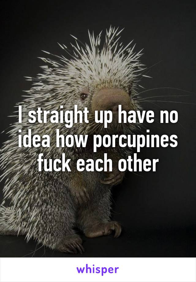 I straight up have no idea how porcupines fuck each other