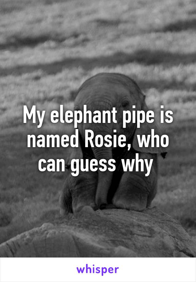 My elephant pipe is named Rosie, who can guess why 