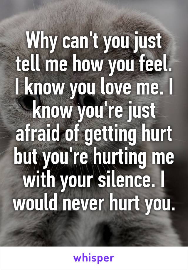 Why can't you just tell me how you feel. I know you love me. I know you're just afraid of getting hurt but you're hurting me with your silence. I would never hurt you. 