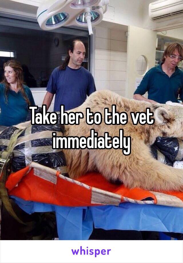 Take her to the vet immediately 