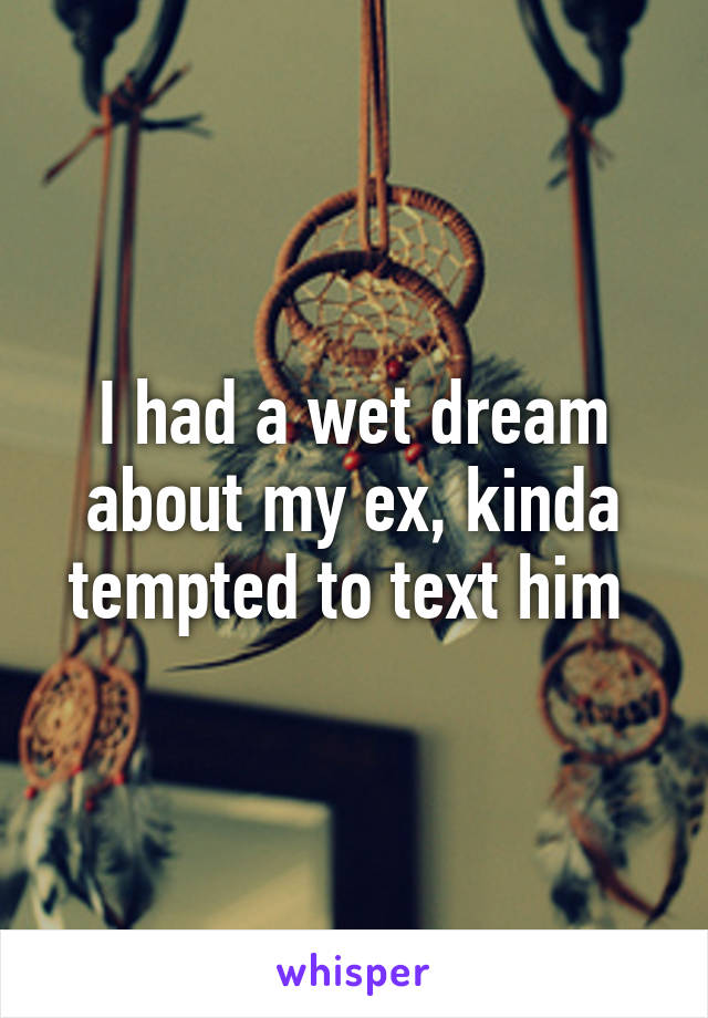 I had a wet dream about my ex, kinda tempted to text him 