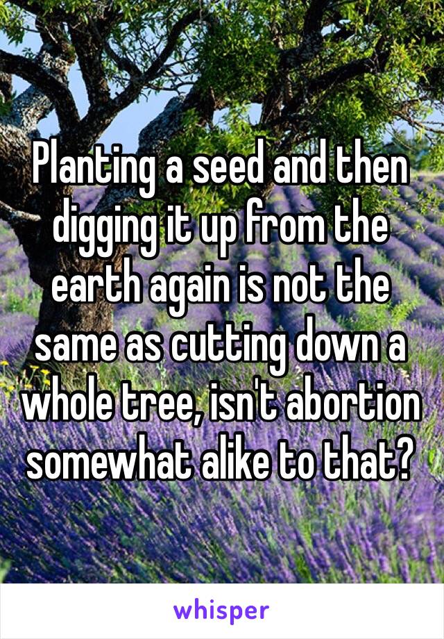 Planting a seed and then digging it up from the earth again is not the same as cutting down a whole tree, isn't abortion somewhat alike to that?