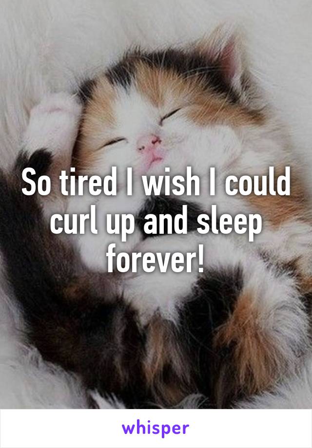 So tired I wish I could curl up and sleep forever!