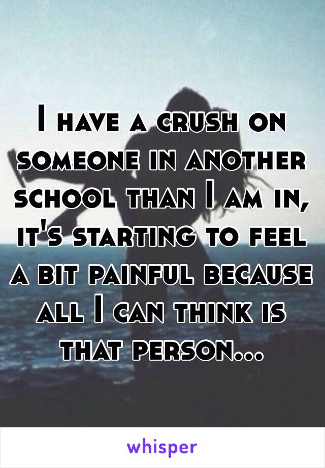 I have a crush on someone in another school than I am in, it's starting to feel a bit painful because all I can think is that person...