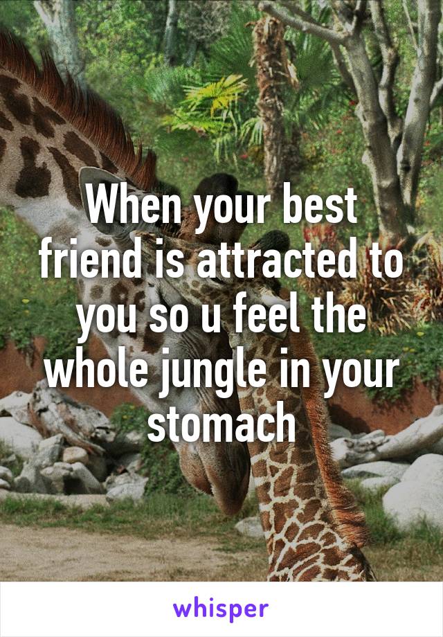 When your best friend is attracted to you so u feel the whole jungle in your stomach