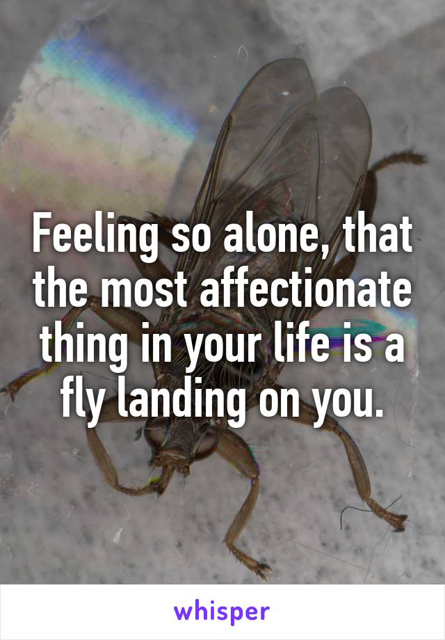 Feeling so alone, that the most affectionate thing in your life is a fly landing on you.