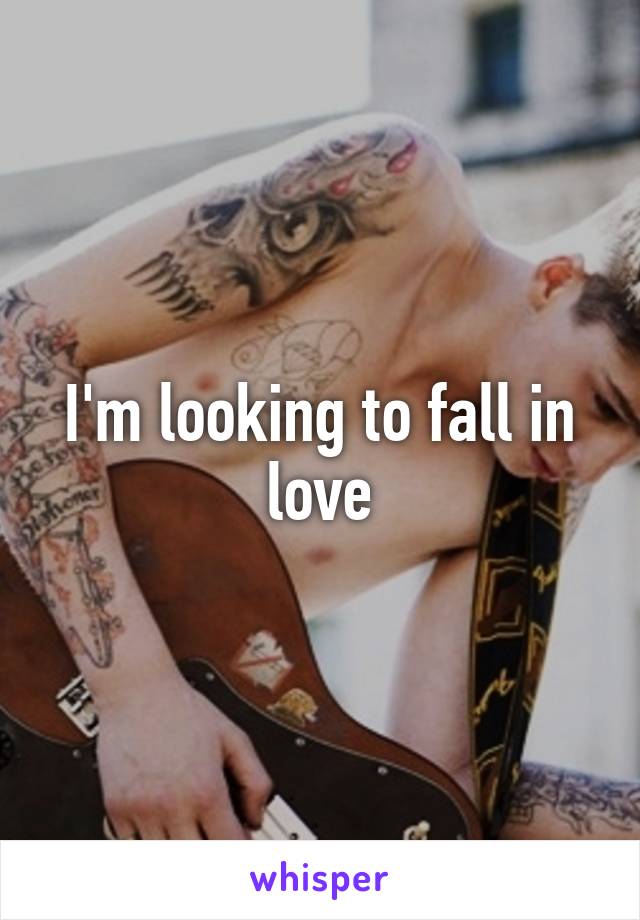 I'm looking to fall in love