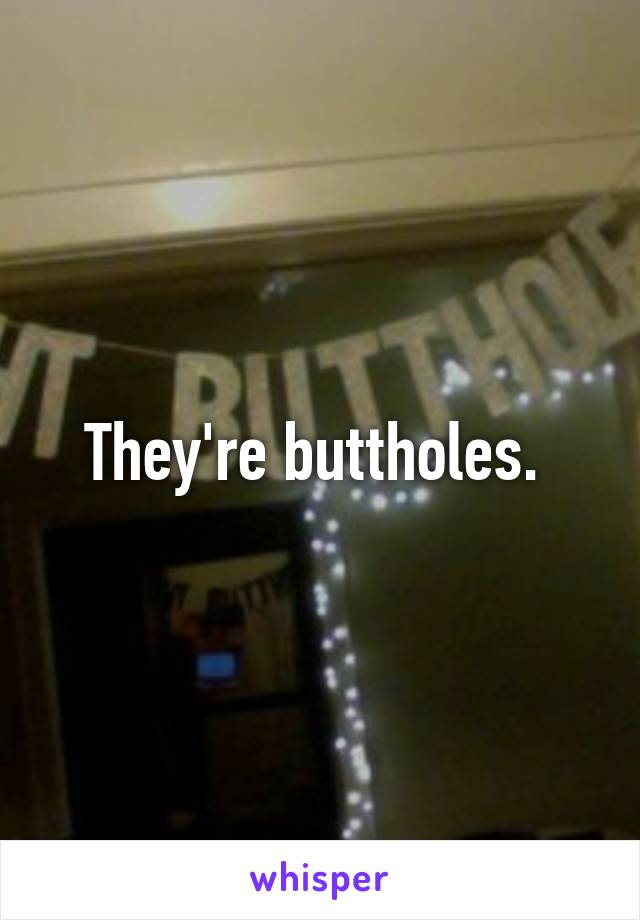 They're buttholes. 