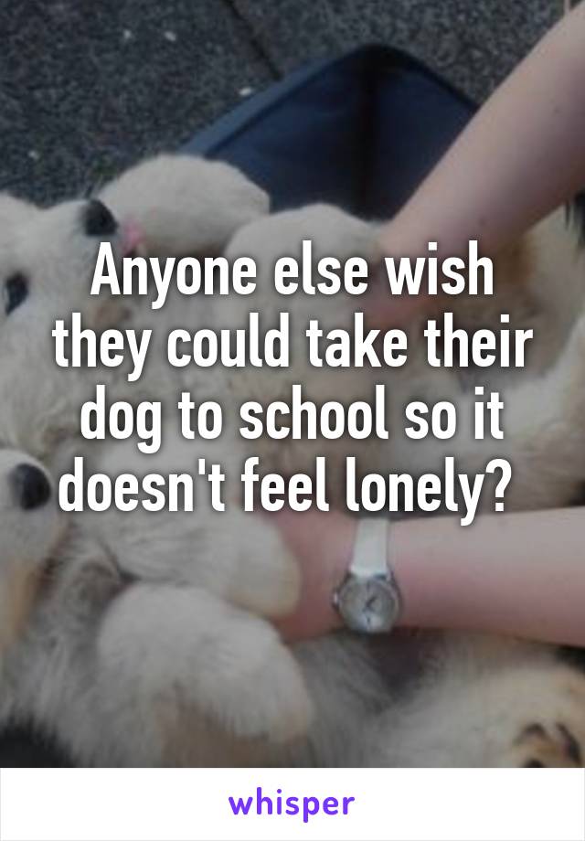 Anyone else wish they could take their dog to school so it doesn't feel lonely? 
