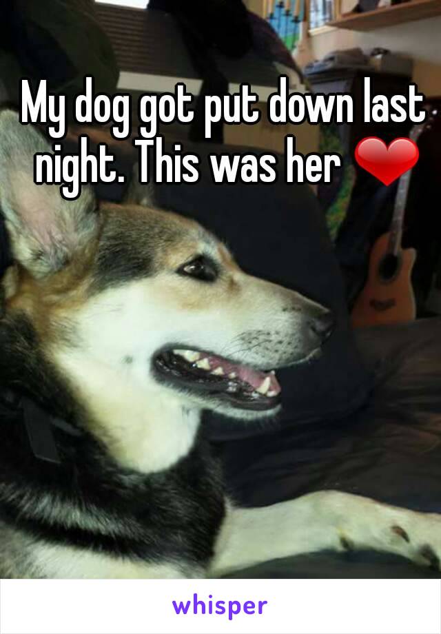 My dog got put down last night. This was her ❤